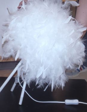 Billede fra myndighedens meddelelse af det tilbagekaldte produkt GOOSY Soft - LUCIDE. Årsag: OKTILTAG.