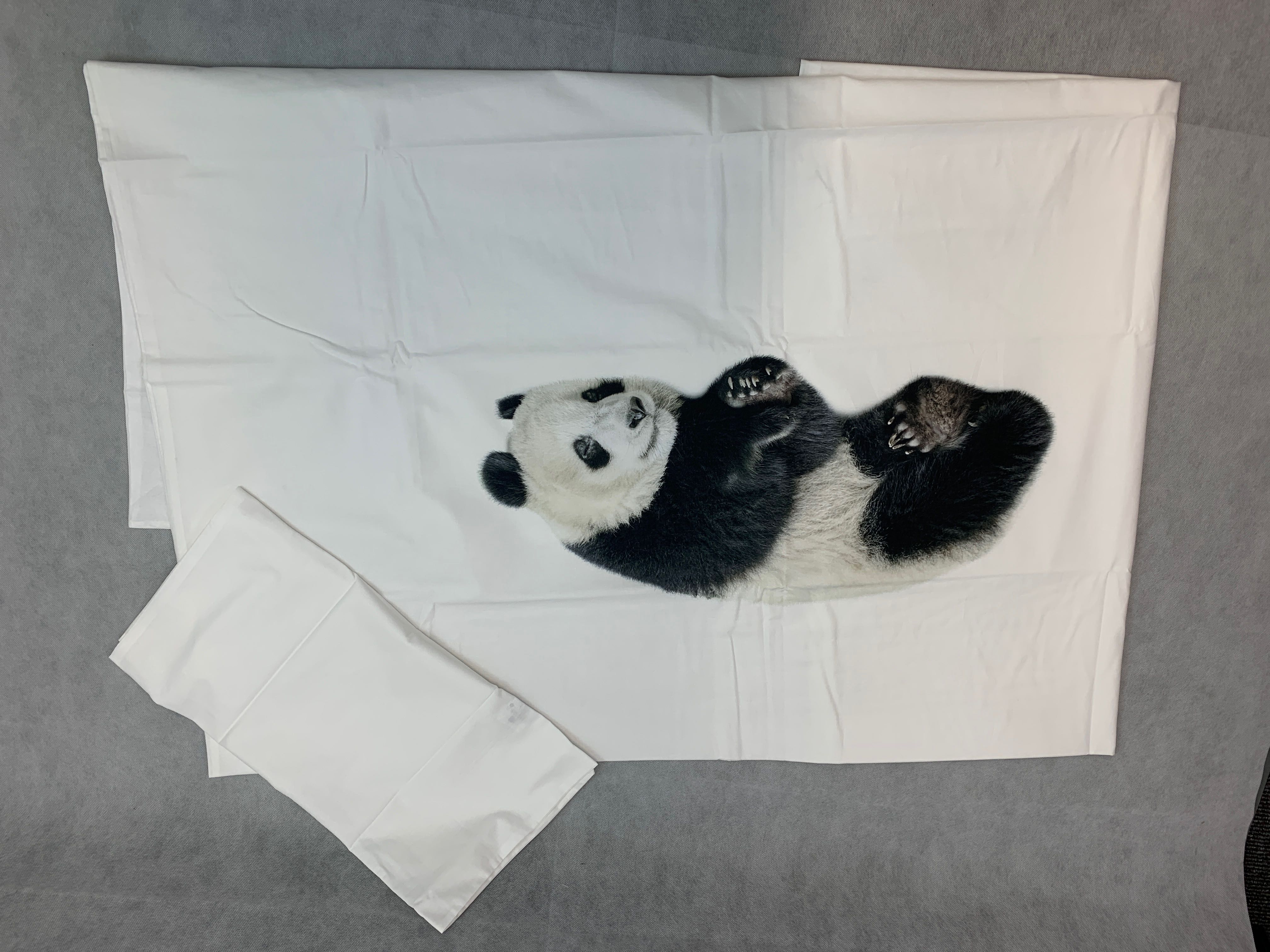 Billede fra myndighedens meddelelse af det tilbagekaldte produkt Lazy Panda Duvet Set - Single. Årsag: OKTILTAG.